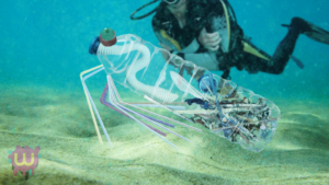 Scientists discover new sea animal made entirely of plastic