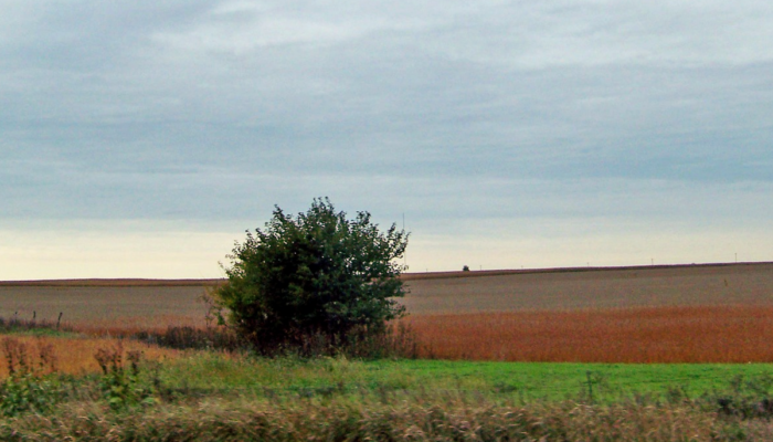 Nothing happened in Luxembourg today