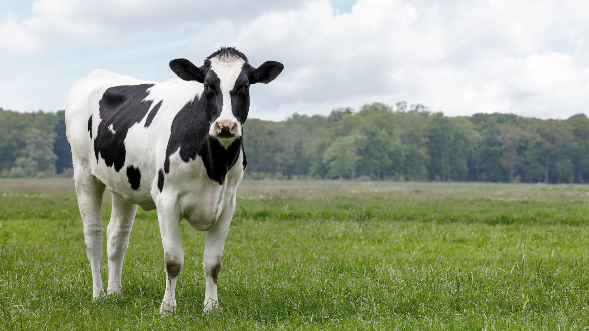 Nothing happening in Luxembourg