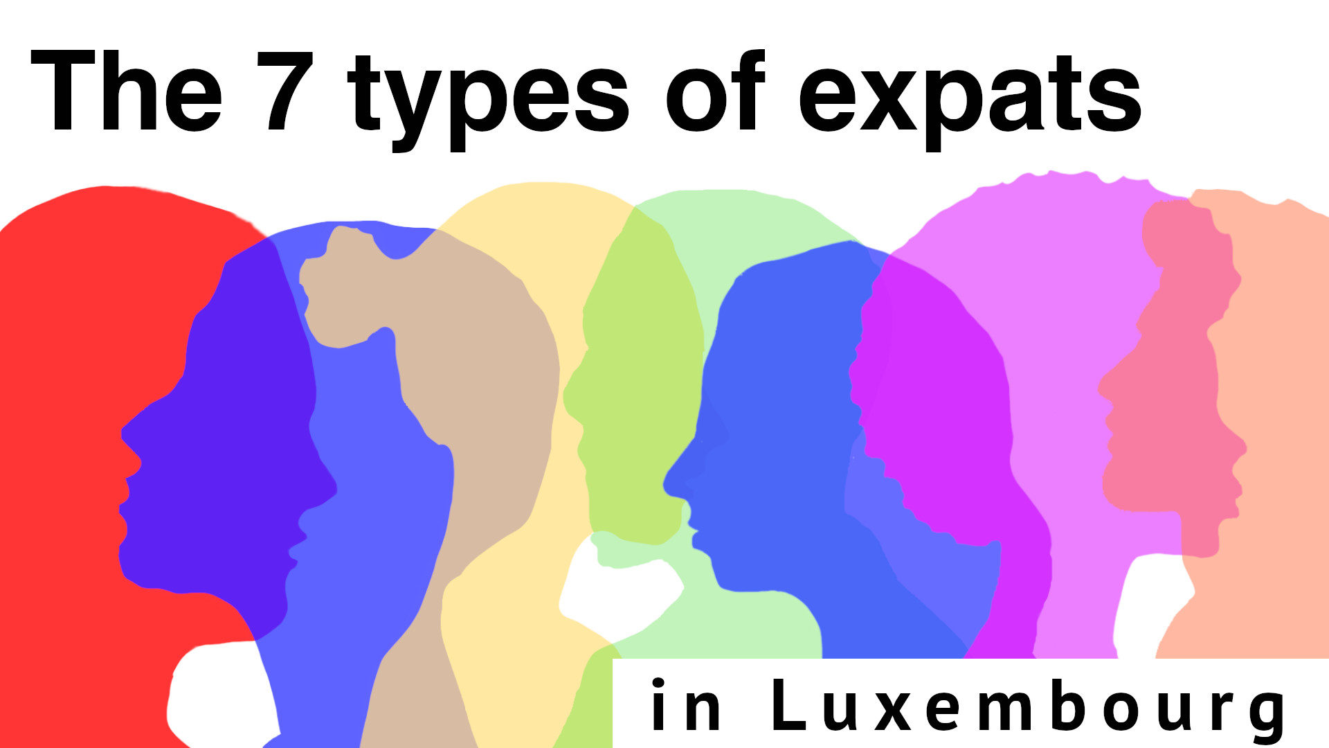 Types of Expat in Luxembourg