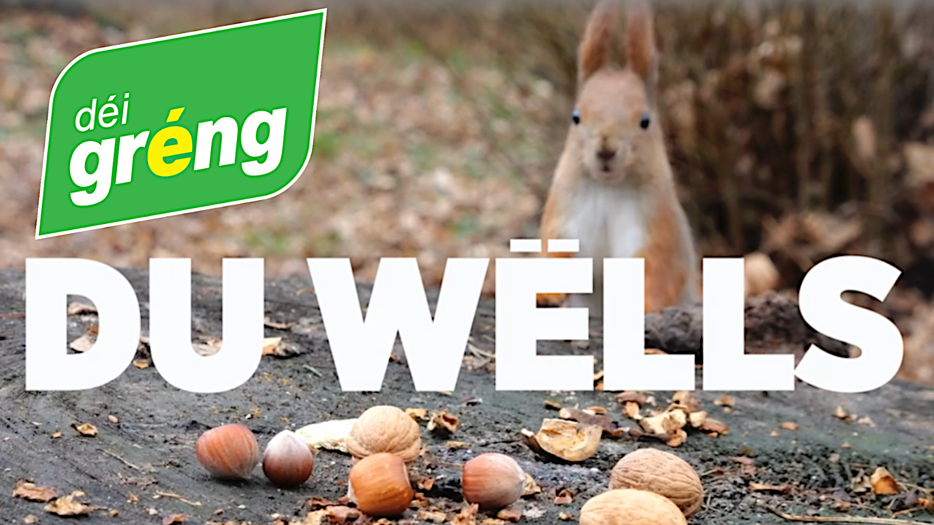Wurst Greng / Green Party